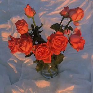 刘亦菲40分钟一级A片
